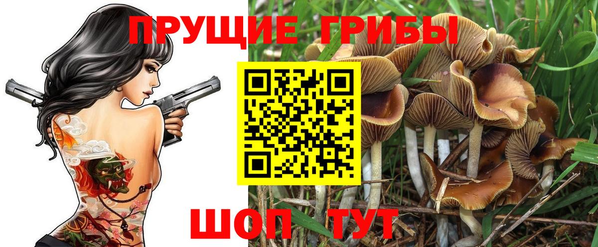 Галлюциногенные грибы MAGIC MUSHROOMS  Вход с VPN  Великий Новгород 